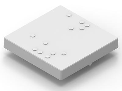 GIRA System 55 Standard Rocker Braille-Icon (German)