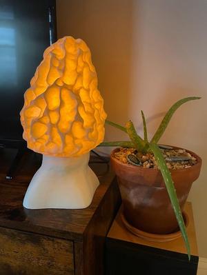 MOREL TABLE LAMP (3D SCANNED MUSHROOM)