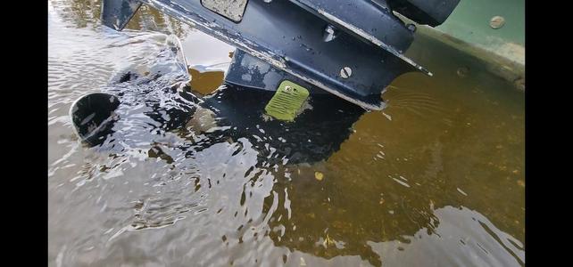 EVINRUDE WATER SCREEN