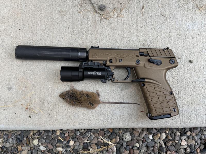Kel-Tec P17 X300-A Key