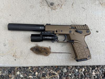 Kel-Tec P17 X300-A Key