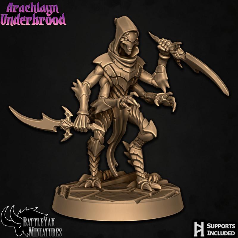 Arachlayn Infiltrator A