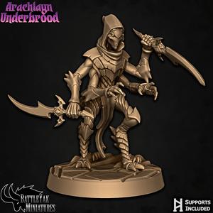 Arachlayn Infiltrator A