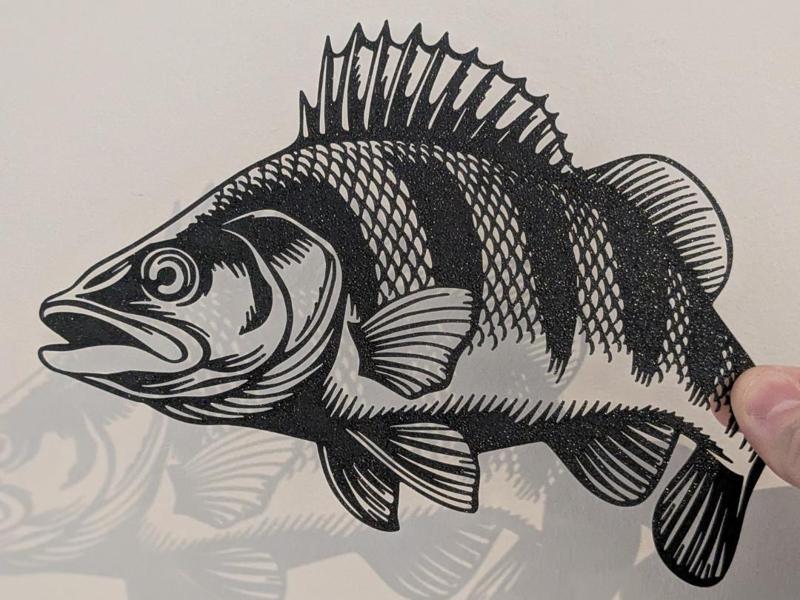 Perch Bass Fishing Art Fish 2D Art