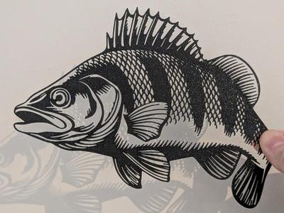 Perch Bass Fishing Art Fish 2D Art