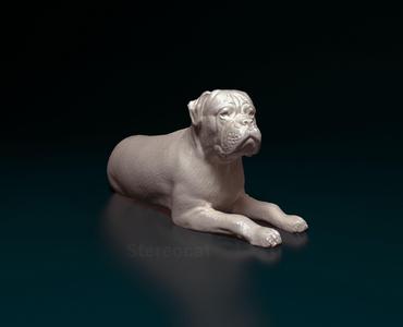 American Bulldog