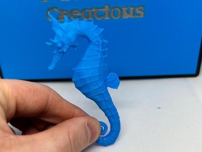 Sea Horse