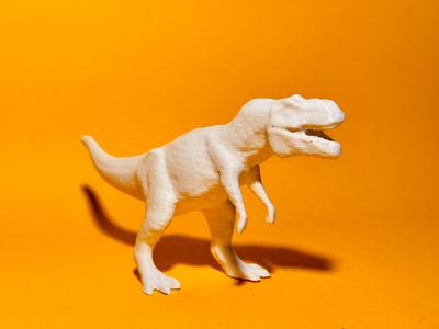 Dinosaur Collection #04 Tyrannosaurus Rex - T-Rex