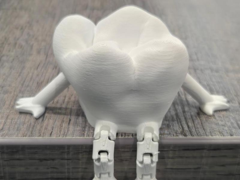 Molar Tooth Buddy - Anatomically Correct