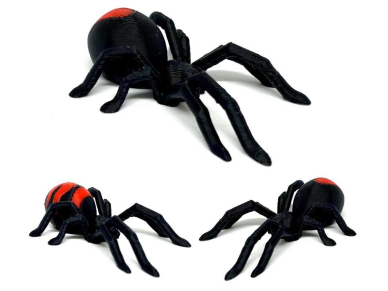 MINI Black Widow / Redback spider - 50mm only!