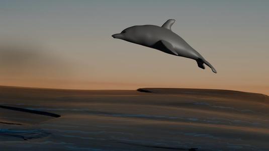 Dolphin