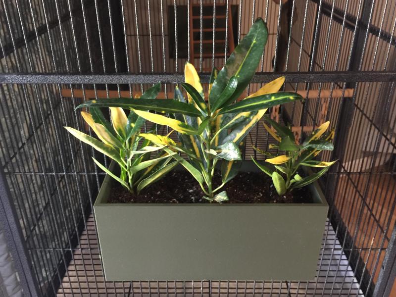 Plant Container for Cage