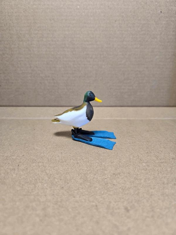 Duck named Floppo