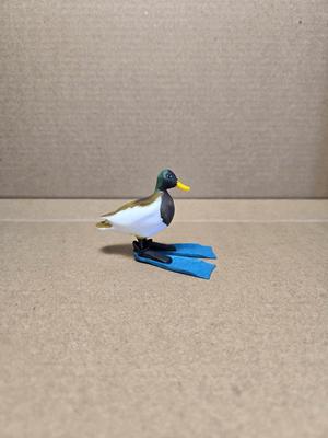 Duck named Floppo