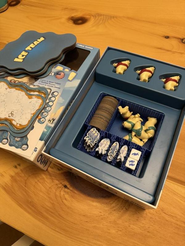 Ice Team Insert