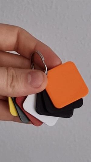 Bambu Lab Filament Swatch keychain