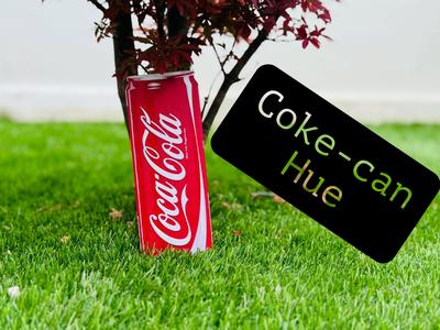Coca-cola Can 
