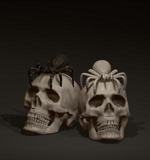Skull with spider