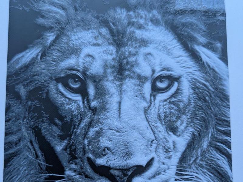 HueForge Lion