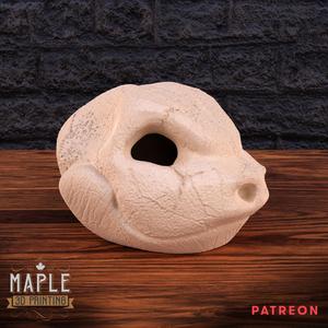 Blastoise Skull - Hollow and Solid - Pokemon