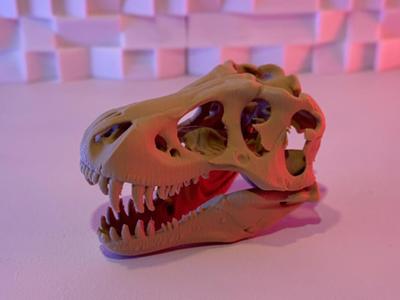 T-Rex Skull (5-25 Grams)
