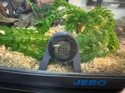 Stand for Digital Thermometer/Hygrometer