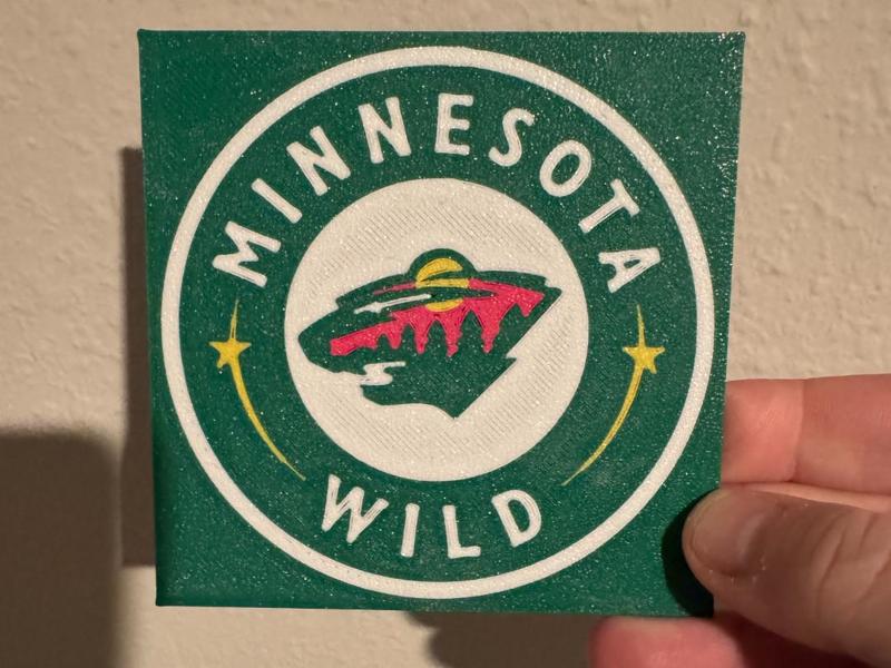 Minnesota Wild Coasters