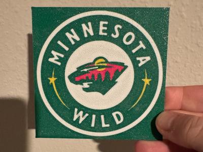 Minnesota Wild Coasters