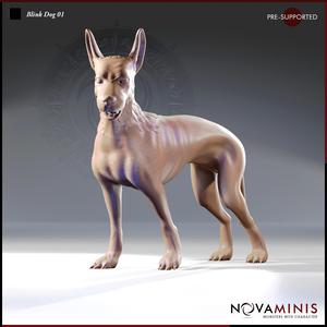 Blink Dog 01