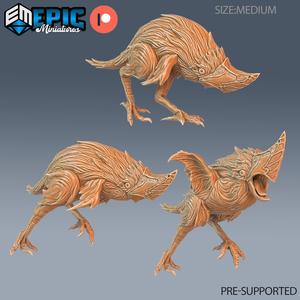 Beak Runner Set / Feathered Raptor / Flightless Bird / Ancient Giant Chicken / Evil Dinosaur / Jurassic Encounter