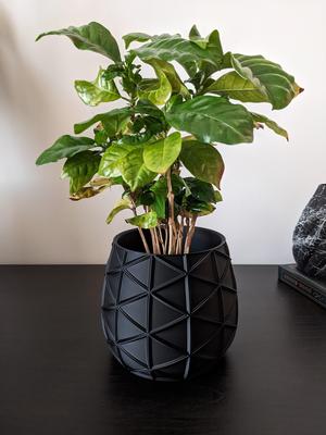 Designer Planter