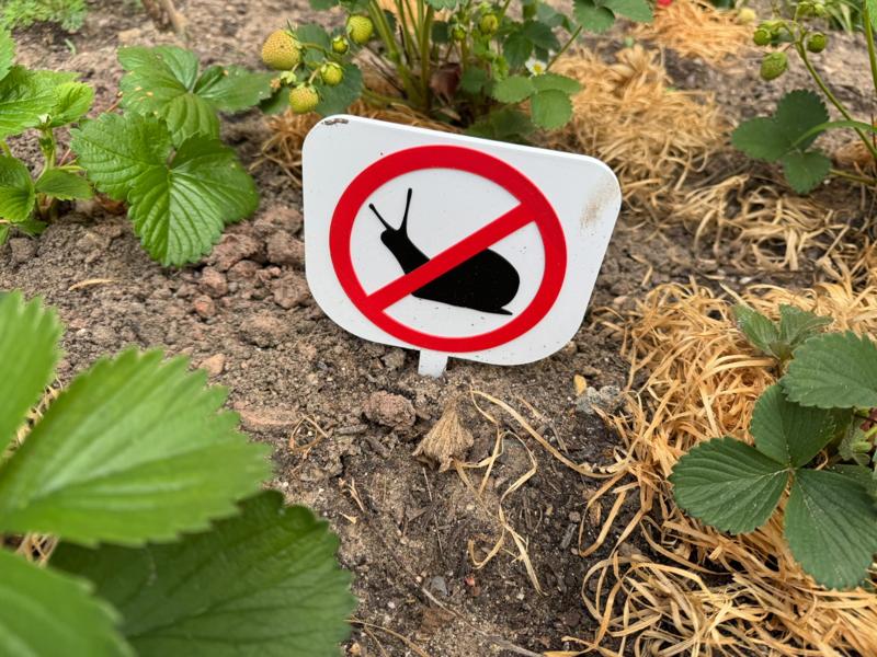 Prohibition sign no birds, slugs, cats allowed