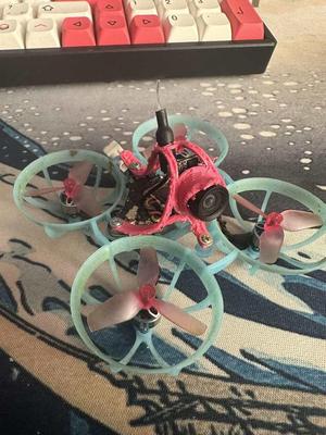 Whoop Canopy (low angle)
