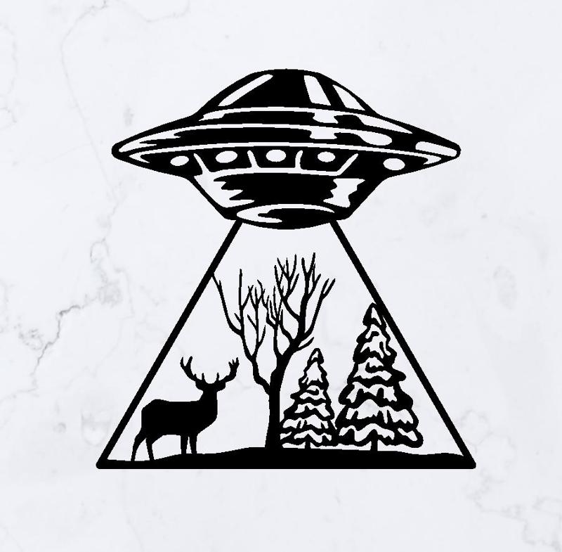 UFO Abduction