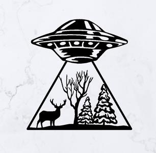 UFO Abduction