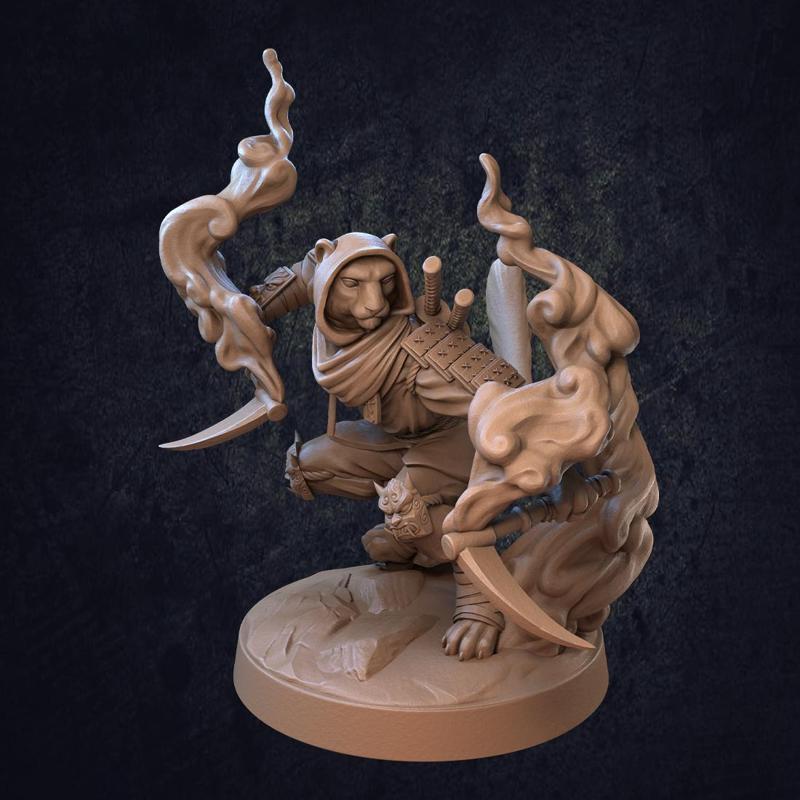 Adhira Felis Ghost Ninja - Presupported