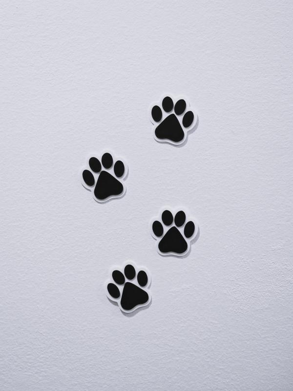 Dog paw