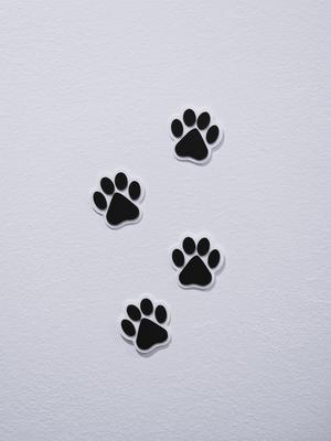 Dog paw