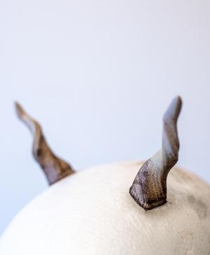 Small Antelope Horns