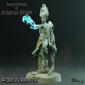 Arborus Venemar, Elven Lich lord