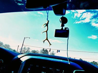 "Antler Hang" Elk