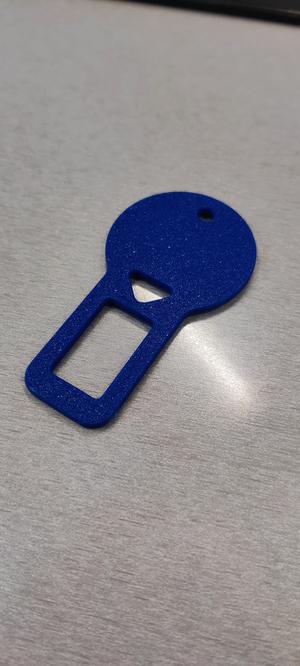 Selt Belt Bypass Clips