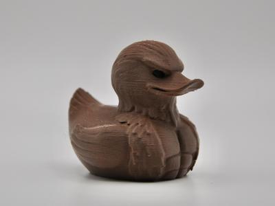 Hawk Duck