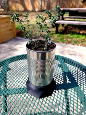 Planter Can
