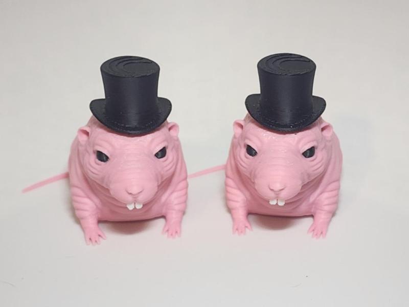 Naked Mole Rat in a Top Hat