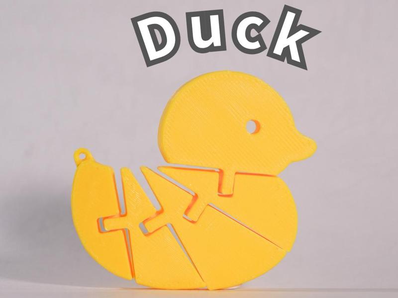 articulated duck