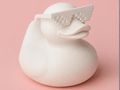 meme ducks 