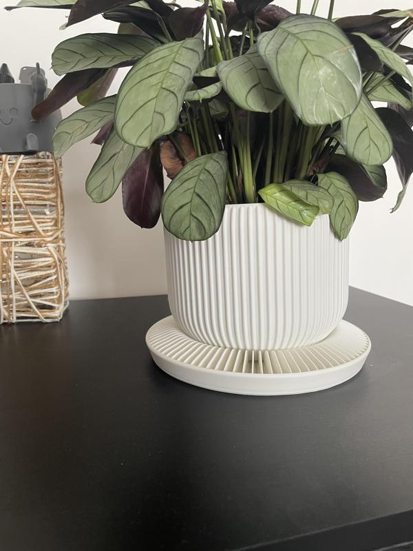 Self Watering Planter Pot Base.3mf