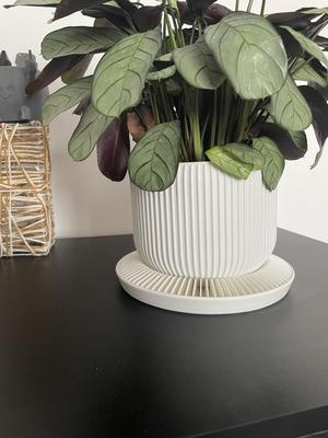 Self Watering Planter Pot Base.3mf