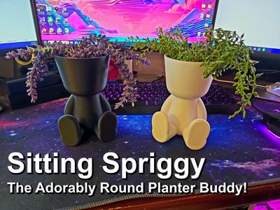 Sitting Spriggy – The Adorably Round Planter Buddy